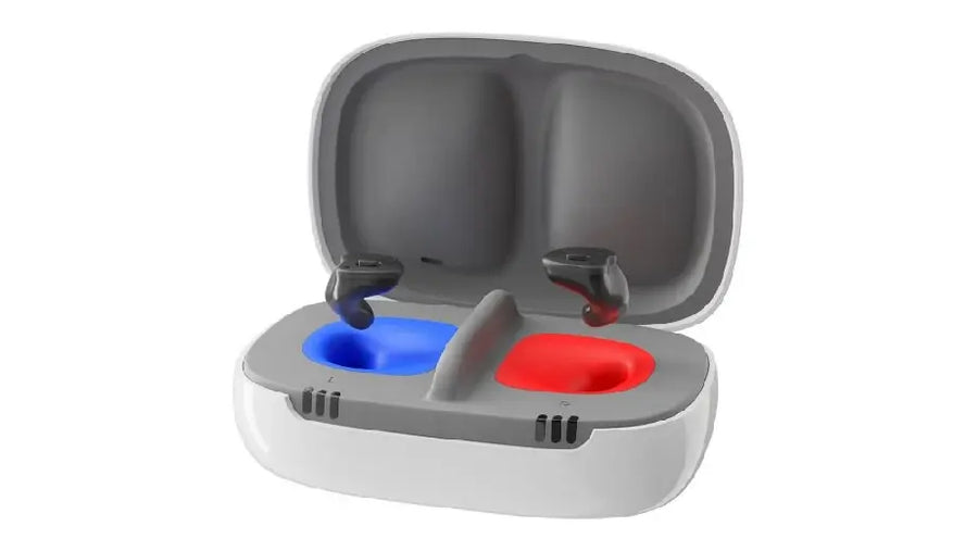 Signia Insio Charge&Go 5 AX